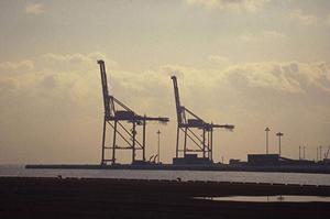 多様な素材のフィンチューブを扱う会社