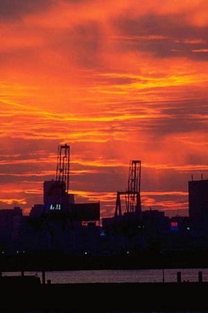 専門会社が製造する多様なコンベア